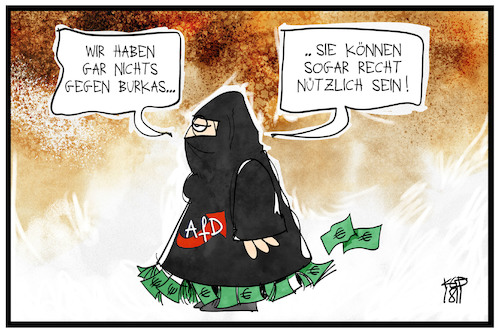 AfD-Parteispenden