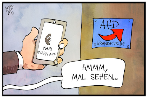 AfD Brandenburg