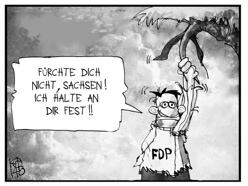 FDP in Sachsen