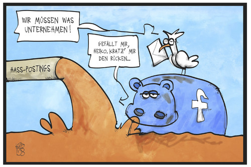 Maas und Facebook