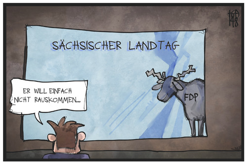 Sachsen-FDP
