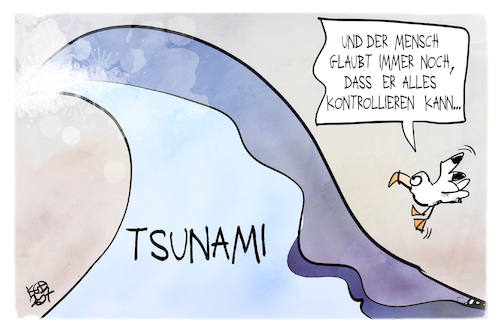 Seebeben und Tsunami