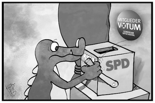 SPD-Mitgliederentscheid