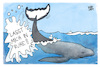 Cartoon: Die Walrettung (small) by Kostas Koufogiorgos tagged karikatur,koufogiorgos,wal,timmy,rettung,ruhe,ostsee,poel