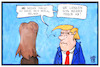 Cartoon: Melania Trump (small) by Kostas Koufogiorgos tagged karikatur,koufogiorgos,illustration,cartoon,melania,trump,flotus,schuhe,high,heels,frisur,usa,mode