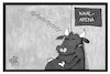 Cartoon: Wahlarena (small) by Kostas Koufogiorgos tagged karikatur,koufogiorgos,illustration,cartoon,wahlarena,merkel,bundestagswahl,wahlkampf,stier,schlafen,langweilig