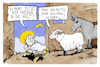 Cartoon: Weltfrieden (small) by Kostas Koufogiorgos tagged karikatur,koufogiorgos,weltfrieden,christi,geburt,schaf,esel,krippe,weihnachten
