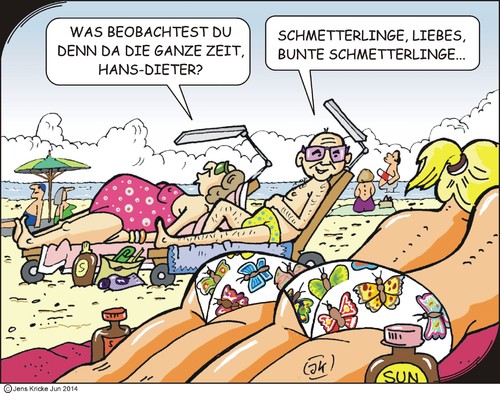 Schmetterlinge Schmetterlinge