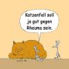 Cartoon: Katzenfell (small) by lexatoons tagged katze,maus,irrtum,rheuma,tiere