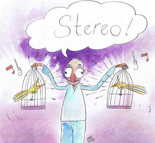 Cartoon: Listen two birds... (medium) by kamil yavuz tagged müzik,stereo,birds