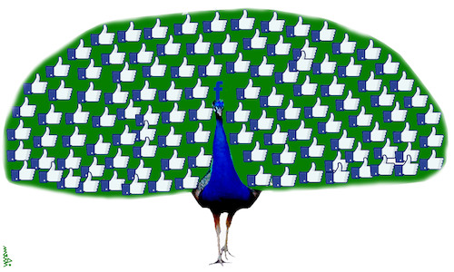 Cartoon: fb peacock (medium) by Medi Belortaja tagged fb,peacock,internet,like
