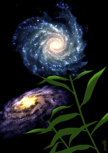 Cartoon: galaxy flowers (medium) by Medi Belortaja tagged flowers,universe,galaxies,galaxy