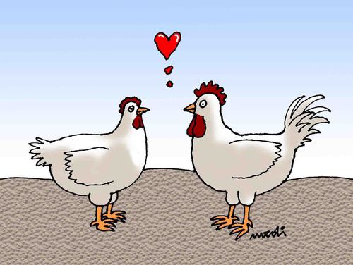 Cartoon: love (medium) by Medi Belortaja tagged valentines,chickens,hert,rooster,love