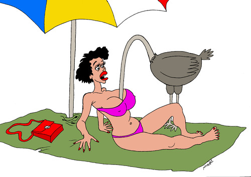 Cartoon: ostrich on the beach (medium) by Medi Belortaja tagged holidays,woman,fear,scared,beach,ostrich