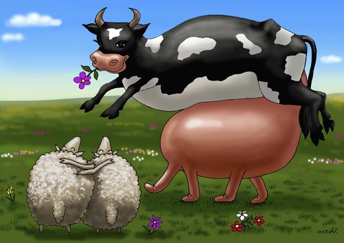 Cartoon: proud cow (medium) by Medi Belortaja tagged nature,productive,sheeps,sheep,milk,cow,proud