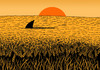 Cartoon: a sea of wheat (small) by Medi Belortaja tagged sea field sunshine wheat shark danger paradox humor