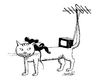 Cartoon: antenna (small) by Medi Belortaja tagged antenna mouse cat watching tv tail humor