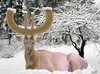 Cartoon: deer tired (small) by Medi Belortaja tagged deer eu euro christmas horn snow winter tired financial crisis