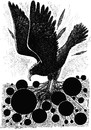 Cartoon: eagle bondage (small) by Medi Belortaja tagged eagle,bondage,crawler,chain,captivity,freedom