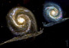 Cartoon: galaxy snails (small) by Medi Belortaja tagged galaxy,snail,snails,discoveries,nasa,stars,planets,slowely,universe