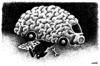 Cartoon: mind s repair (small) by Medi Belortaja tagged mind repair