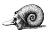 Cartoon: snailman (small) by Medi Belortaja tagged snail,man,hat,slowly