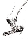 Cartoon: the feet (small) by Medi Belortaja tagged feet poverty leg track shoe