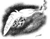 Cartoon: peace gun (small) by Medi Belortaja tagged peace war gun pigeon dove colombo