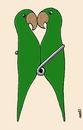 Cartoon: two parrot (small) by Medi Belortaja tagged parrot,clothes,pin,humor