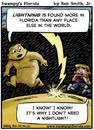 Cartoon: Swampys Florida Webcomic (small) by RobSmithJr tagged florida,cartoon,weather,comic,webcomic,lightning,travel,tourist,tourism,tour,visit,pasco