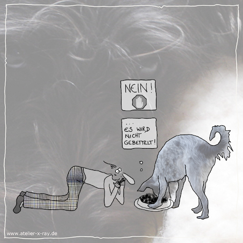 Cartoon: es wird nicht gebettelt (medium) by kika tagged hund,hunde,fressnapf
