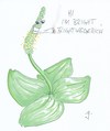 Cartoon: Bright (small) by gore-g tagged breitwegerich,botanik,biologie,pflanzen,sommer,kiffen,joint,gras