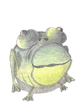 Cartoon: clock frog - uhrfrosch (medium) by zenundsenf tagged frosch,uhr,frog,clock,zenf,zensenf,zenundsenf,walter,andi