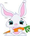 Cartoon: cute bunny with carrot (medium) by GaGagraceIE tagged bunny,teeth,carrot,rabbits