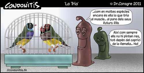 Cartoon: Condonitis 23 (medium) by DrCoragre tagged humor,catala,catalan,tira,comic,strip,drawing,digital