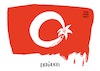 Türkische Offensive in Syrien