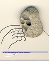 Cartoon: Face (small) by manfredw tagged gesicht,face,gorilla,denker,philosph,stein,sand,meer,urlaub