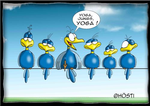 Cartoon: Höstis Batty Birds (medium) by Hösti tagged hösti,cartoons,hoesti,stephan,höstermann,batty,birds,vögel,blaue