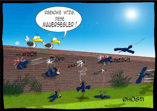 Cartoon: Höstis Vögelkunde (medium) by Hösti tagged hösti,cartoons,hoesti,stephan,höstermann,vögel,vogel,ornithologie,vögelkunde