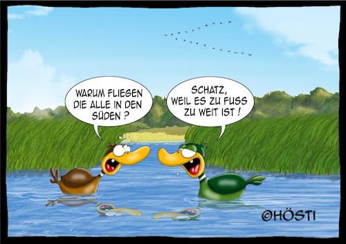Cartoon: Höstis Vögelkunde (medium) by Hösti tagged hösti,cartoons,hoesti,stephan,höstermann,vögel,vogel,ornithologie,vögelkunde