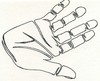 Cartoon: Hand Outline (small) by claretwayno tagged hand,palm,skin,grip,line,mans