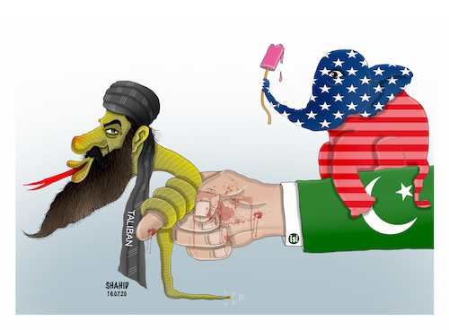 Cartoon: Terrorism in the hand of PAK! (medium) by Shahid Atiq tagged afghanistan
