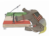 Cartoon: The elephants in the trap ! (small) by Shahid Atiq tagged iran