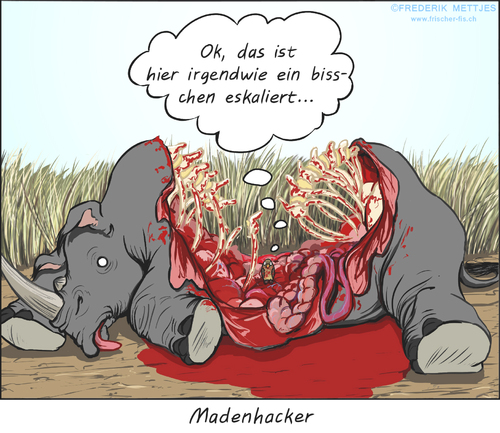 Cartoon: Übereifer (medium) by Zapp313 tagged nashorn,brutal,madenhacker,hautpflege,vogel,blut,afrika