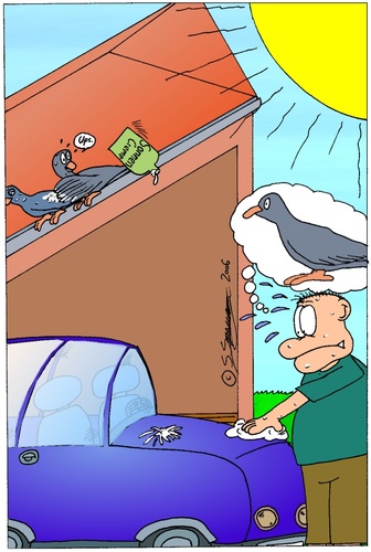 Cartoon: Tauben auf dem Dach (medium) by chaosartwork tagged tauben,sommer,sonne,creme,flasche,öl,weiß,heiß,auto,waschen,dreck,schmutz,scheiße,kacke,mist