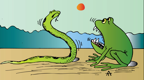 Cartoon: Frog (medium) by Alexei Talimonov tagged frog