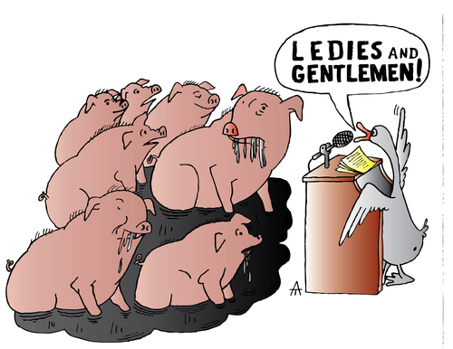 Cartoon: Pigs (medium) by Alexei Talimonov tagged pigs