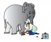 Cartoon: Elephant and Doctor (small) by Alexei Talimonov tagged elephant,medicine,doctor