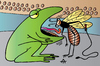 Cartoon: Frog (small) by Alexei Talimonov tagged frog