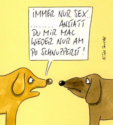 Cartoon: schnupperst (medium) by Peter Thulke tagged hund,hund,hunde,tier,tiere,sex,liebe,riechen,flirt,partnersuche